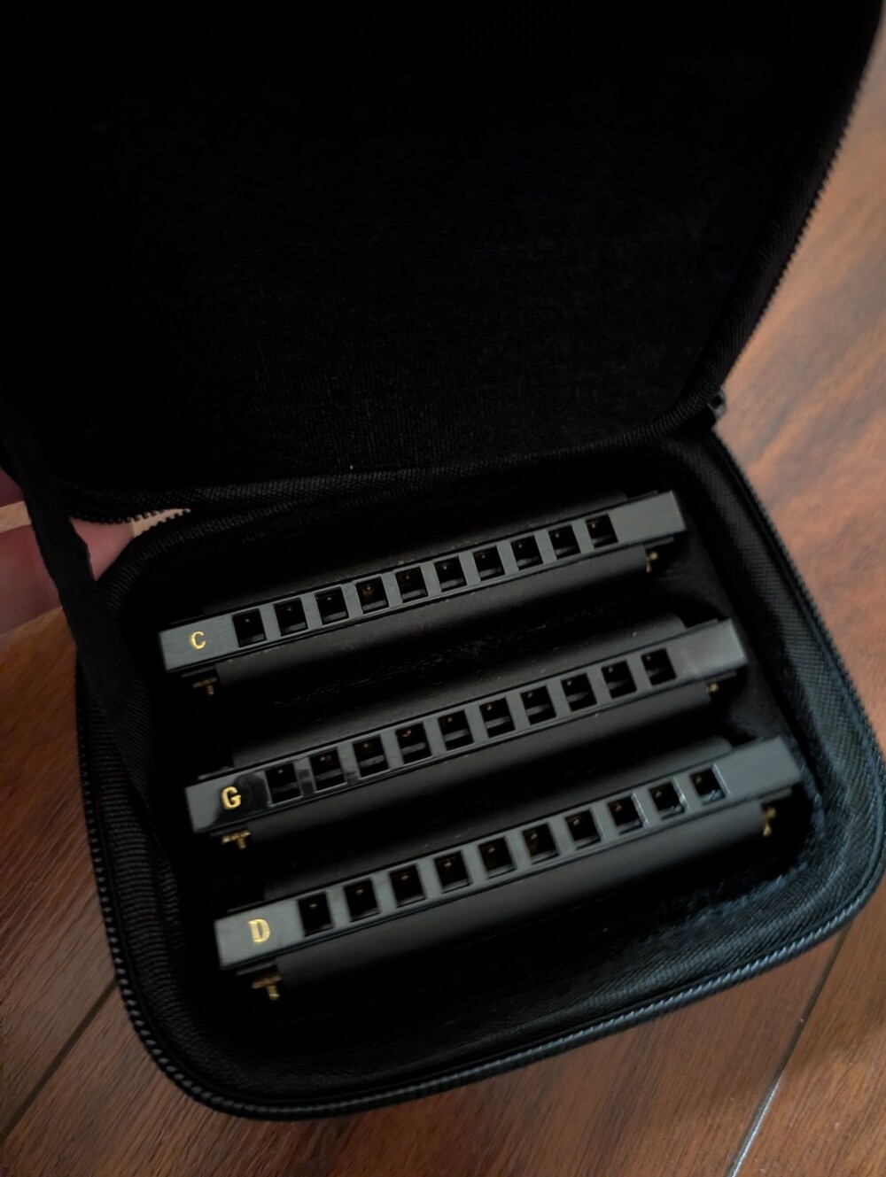 Hohner 3-Pack Diatonic Harmonica Set in Black (C G D)